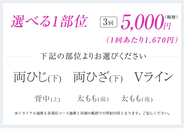 選べる1部位