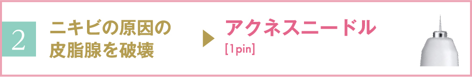 アクネスニードル
