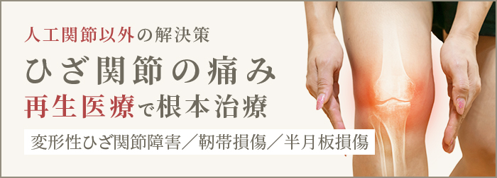 人工関節以外の解決策　ひざ関節の痛み　再生医療で根本治療　変形性ひざ関節障害/靭帯損傷/半月板損傷