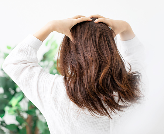 植毛・頭皮治療のエキスパートが在籍