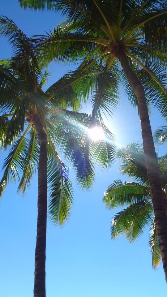 紫外線について