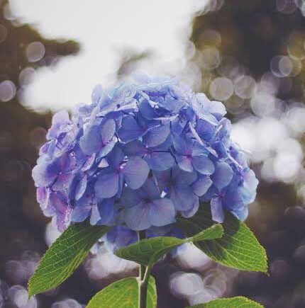 梅雨のスキンケア