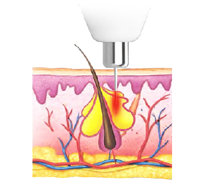 このような方に